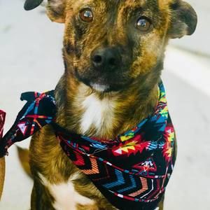 Meet your Posher, Jasmine